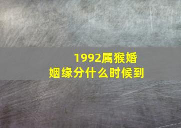 1992属猴婚姻缘分什么时候到