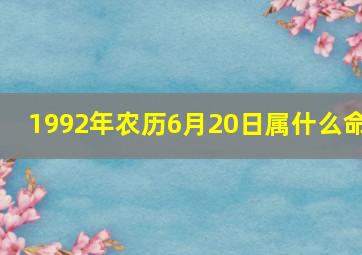 1992年农历6月20日属什么命