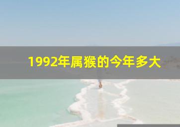 1992年属猴的今年多大