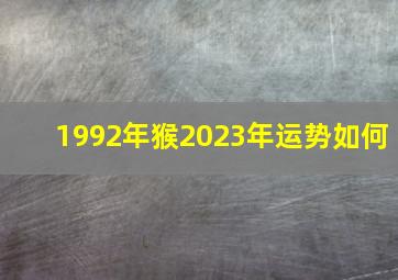 1992年猴2023年运势如何