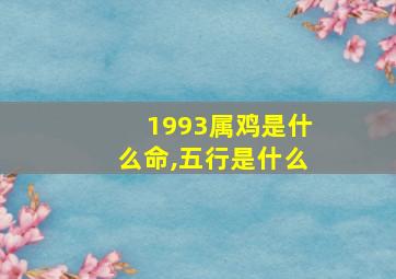 1993属鸡是什么命,五行是什么