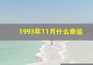 1993年11月什么命运