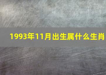 1993年11月出生属什么生肖