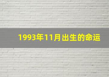 1993年11月出生的命运