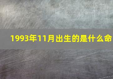 1993年11月出生的是什么命