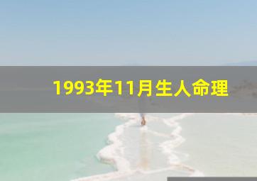 1993年11月生人命理