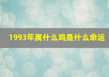 1993年属什么鸡是什么命运