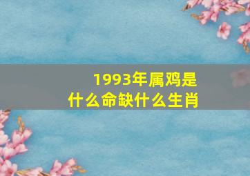 1993年属鸡是什么命缺什么生肖