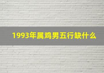 1993年属鸡男五行缺什么