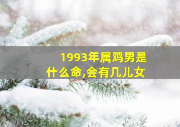 1993年属鸡男是什么命,会有几儿女