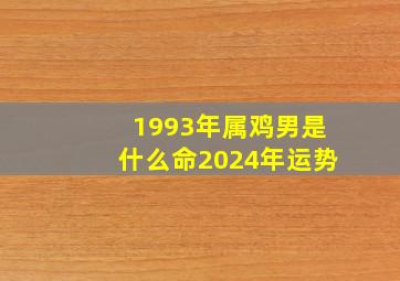 1993年属鸡男是什么命2024年运势