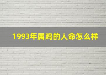 1993年属鸡的人命怎么样