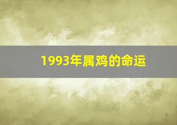 1993年属鸡的命运