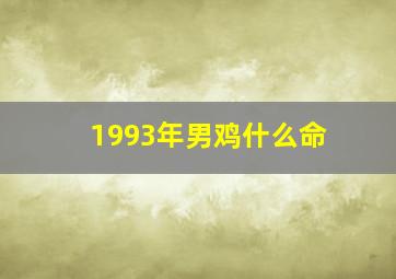 1993年男鸡什么命