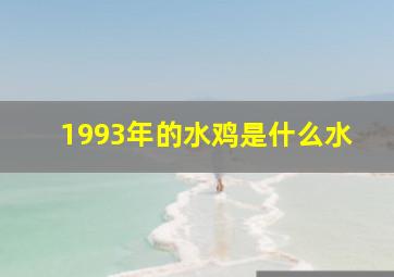 1993年的水鸡是什么水