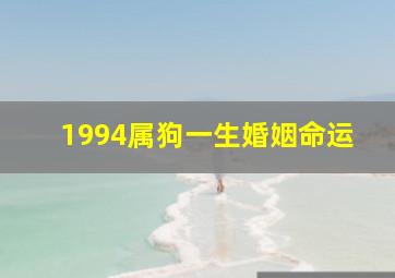 1994属狗一生婚姻命运