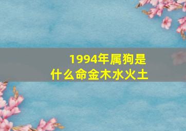 1994年属狗是什么命金木水火土