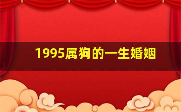 1995属狗的一生婚姻