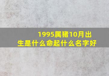 1995属猪10月出生是什么命起什么名字好