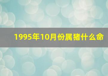 1995年10月份属猪什么命