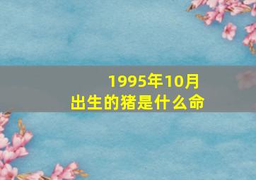 1995年10月出生的猪是什么命