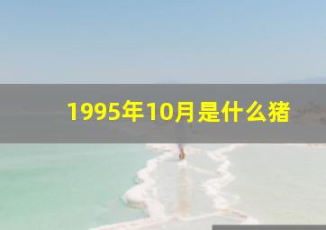 1995年10月是什么猪