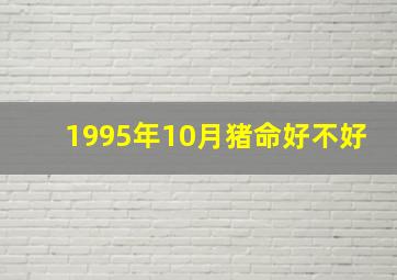 1995年10月猪命好不好