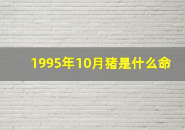 1995年10月猪是什么命