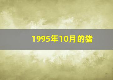 1995年10月的猪