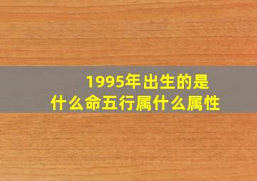 1995年出生的是什么命五行属什么属性