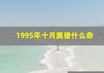 1995年十月属猪什么命