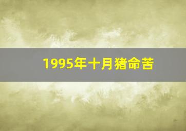 1995年十月猪命苦