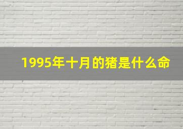 1995年十月的猪是什么命