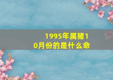 1995年属猪10月份的是什么命