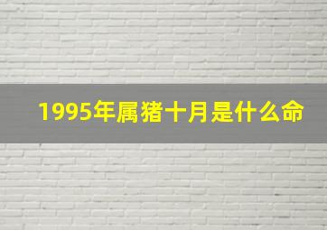 1995年属猪十月是什么命