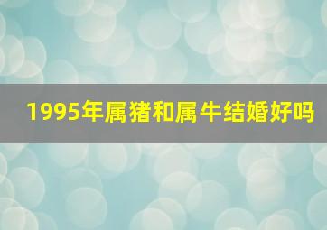 1995年属猪和属牛结婚好吗