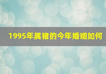 1995年属猪的今年婚姻如何