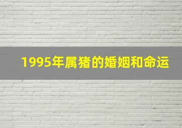 1995年属猪的婚姻和命运