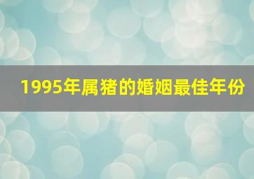 1995年属猪的婚姻最佳年份