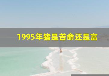 1995年猪是苦命还是富