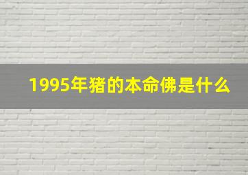 1995年猪的本命佛是什么