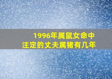 1996年属鼠女命中注定的丈夫属猪有几年