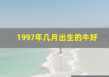 1997年几月出生的牛好