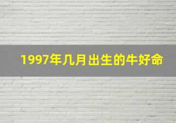 1997年几月出生的牛好命