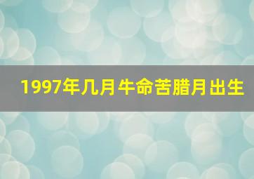 1997年几月牛命苦腊月出生