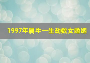 1997年属牛一生劫数女婚姻