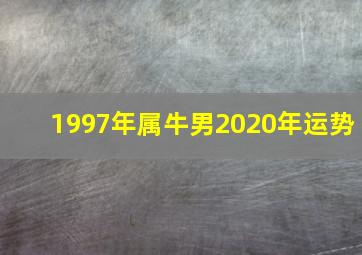 1997年属牛男2020年运势