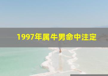 1997年属牛男命中注定