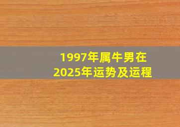 1997年属牛男在2025年运势及运程