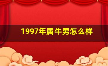 1997年属牛男怎么样